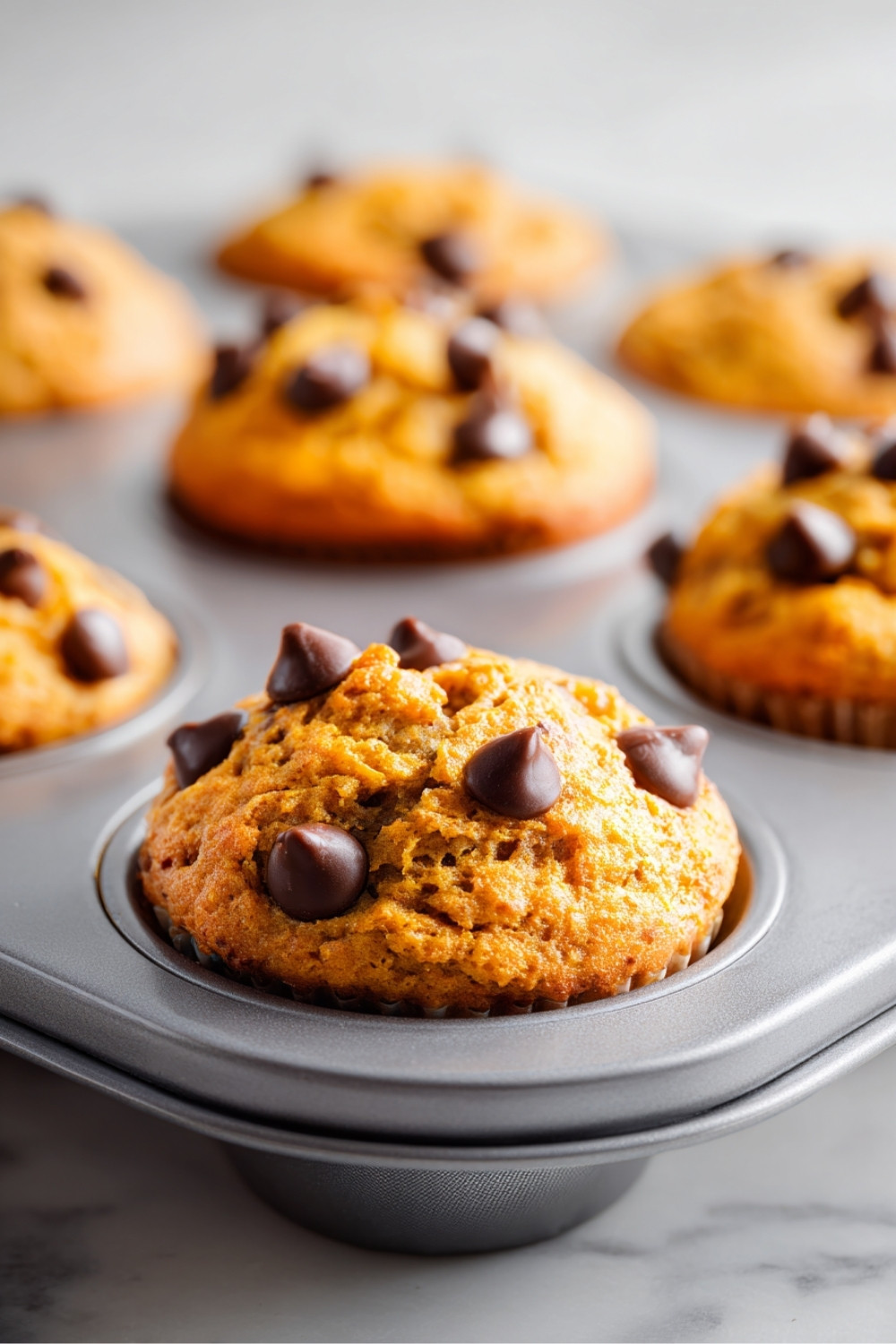 Pumpkin Protein Muffins