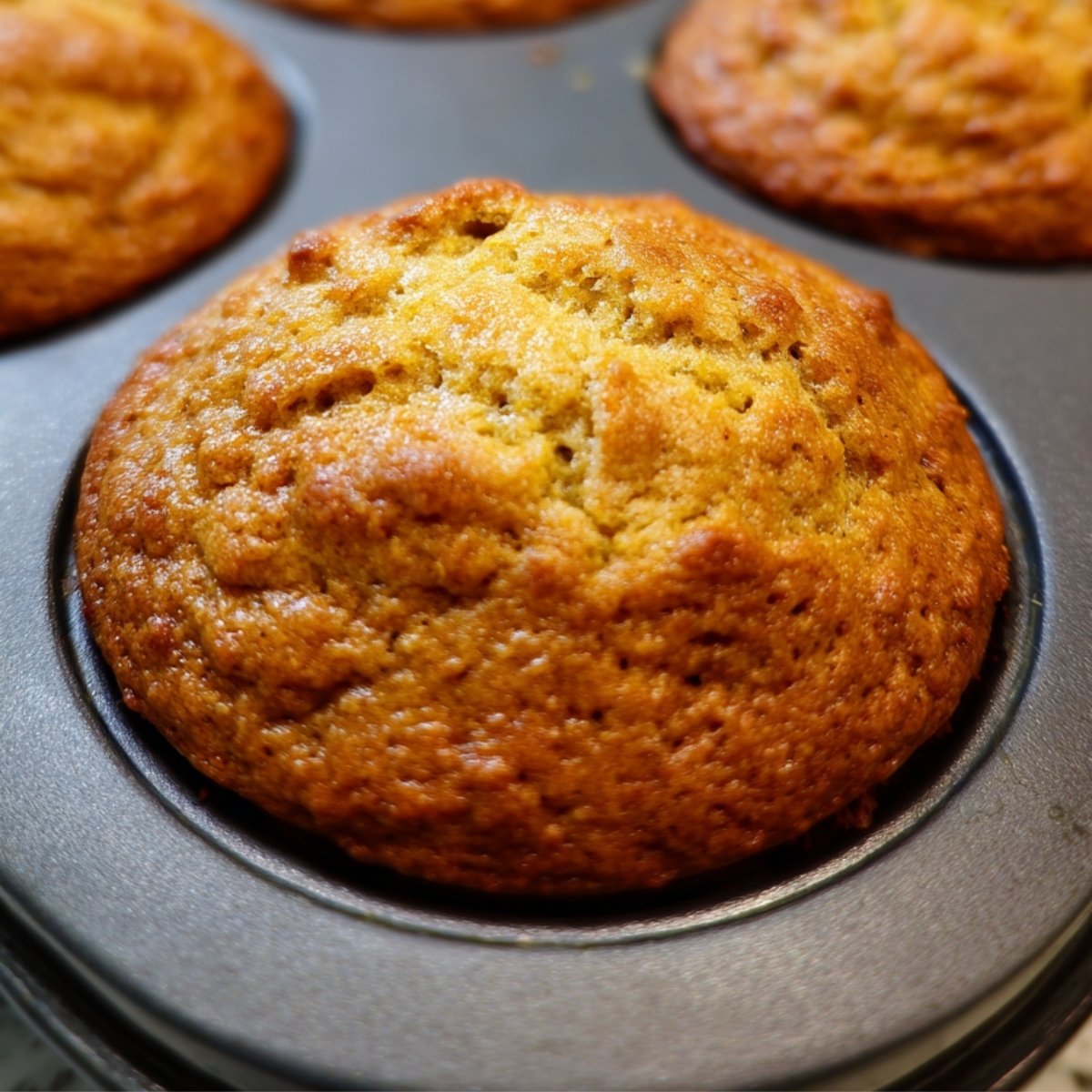Flourless Banana Protein Muffins