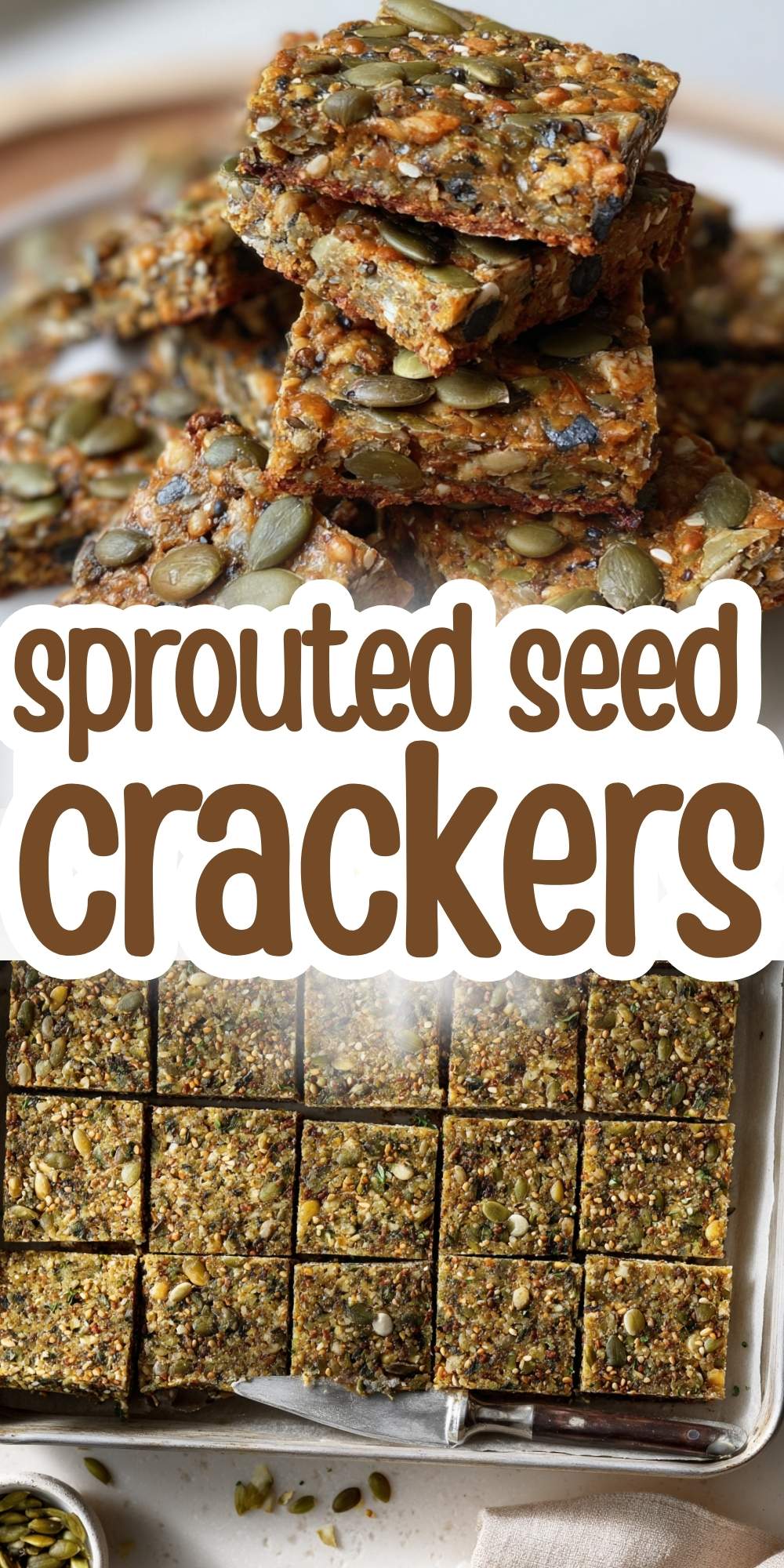 Sprouted Seed Crackers Recipe